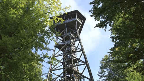 For hiking enthusiasts, the Loorenkopf Tower provides an unparalleled 360-degree view of Zurich, Glattal Valley, and the distant Alps.