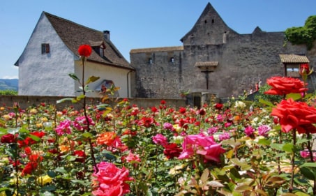 Stroll through Rapperswil’s medieval streets, admire its blooming rose gardens, and visit the historic castle overlooking Lake Zurich.