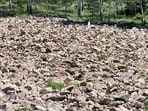 Can you spot the woman camouflaged in a rocky landscape? Can you spot the woman camouflaged in a rocky landscape?
