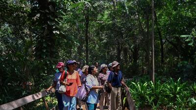 Botanical walk sheds light on green treasures at Byculla Zoo Botanical walk sheds light on green treasures at Byculla Zoo