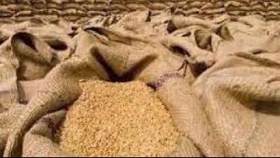 As per the government norms, not more than 50 kg 600 grams of wheat can be filled in the sacks. (HT File) As per the government norms, not more than 50 kg 600 grams of wheat can be filled in the sacks. (HT File)
