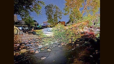 The storm in Patiala caused widespread damage, uprooting trees and blocking key intersections in the city. (HT Photo)