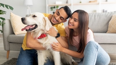 Getting a dog as a couple is some pure, cinematic, dreamy stuff, but you may need a reality check. (Shutterstock) Getting a dog as a couple is some pure, cinematic, dreamy stuff, but you may need a reality check. (Shutterstock)