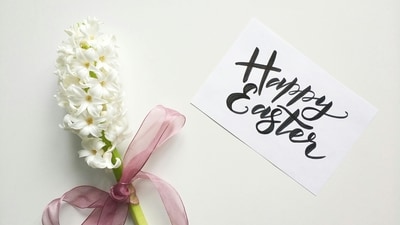 What's open and closed on Easter: Walmart, Target, Macy's and more What's open and closed on Easter: Walmart, Target, Macy's and more