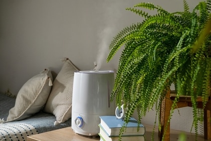 Especially in places where summers are dry, a humidifier can be a game-changer for maintaining skin hydration. (Shutterstock) Especially in places where summers are dry, a humidifier can be a game-changer for maintaining skin hydration. (Shutterstock)