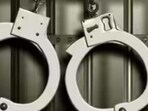 The accused, Amit Sharma of Nai Basti who runs a medical shop, reportedly attacked the dog after it “barked at his son and startled the child”, police said.
