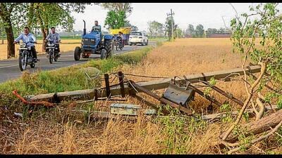 A powerful storm that ravaged several areas of the Malwa region on Friday night left a trail of destruction, with three people losing their lives in Sangrur district. The gusty winds also damaged at least nine 220KV power transmission towers, officials said on Saturday. A powerful storm that ravaged several areas of the Malwa region on Friday night left a trail of destruction, with three people losing their lives in Sangrur district. The gusty winds also damaged at least nine 220KV power transmission towers, officials said on Saturday.