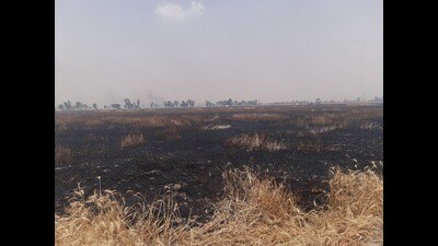 As per information fire, fuelled by strong winds, affected crop in Malsian Kalan, Tindwan, Basti Gamewali, and Basti Hajiwali villages spanning over 100 acres.