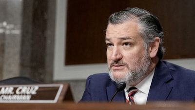 Sen. Ted Cruz is positioning himself as a potential 2028 presidential contender by opposing long-term tariffs. REUTERS/Ken Cedeno (REUTERS)