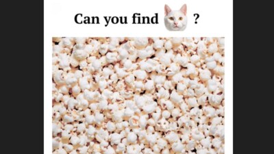 Can you spot the hidden cat in a sea of popcorn? (Facebook/Dreame) Can you spot the hidden cat in a sea of popcorn? (Facebook/Dreame)