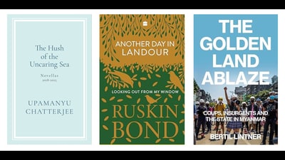 This week’s pick of interesting reads includes a collection of short fiction with the author’s trademark wry humour, pages from a writer’s journal, and a book on the state of Myanmar (Akash Shrivastav) This week’s pick of interesting reads includes a collection of short fiction with the author’s trademark wry humour, pages from a writer’s journal, and a book on the state of Myanmar (Akash Shrivastav)