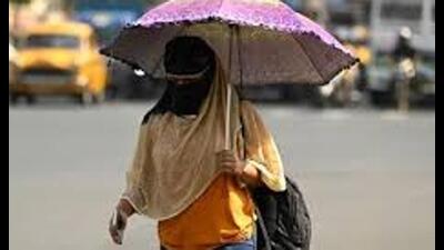 UNICEF partners with UP disaster authority to roll out heatwave safety plan, vinyl boards with safety tips to be installed in gram panchayats (Sourced)