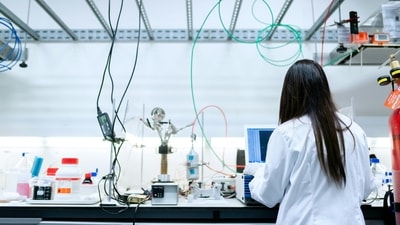 The researchers have published details of the experiment in Science Advances on April 18. (Image for representation/Pexels)