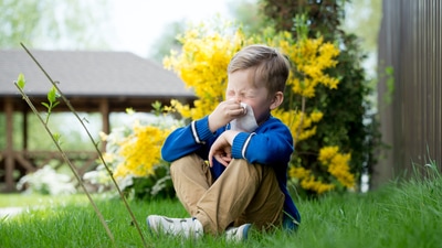 Pollen allergy is common in kids during springtime. (Shutterstock) Pollen allergy is common in kids during springtime. (Shutterstock)