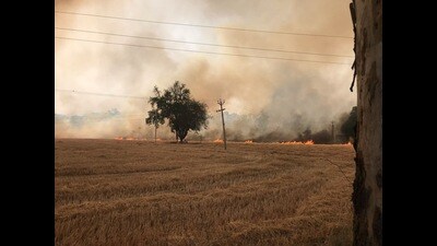 A 16-year-old boy died while his friend is fighting for his life after both were caught in a field fire while riding their bike at a village near Zira in Ferozepur on Sunday. (HT Photo)