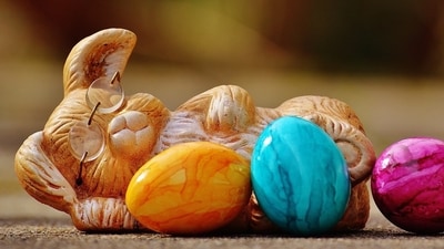 Where did the Easter Bunny originate and when did it come to America? (Pixabay - representational image) Where did the Easter Bunny originate and when did it come to America? (Pixabay - representational image)