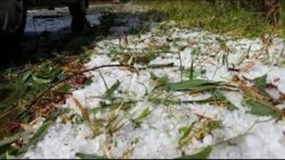 Thousands of farmers, particularly in the south Kashmir’s districts of Shopian and Kulgam, have been affected by rains and hail storms on Friday and Saturday (HT representative)