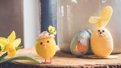 Easter egg scavenger hunt: 20 amazing riddles to brighten up young kids' day (Unsplash - representational image) Easter egg scavenger hunt: 20 amazing riddles to brighten up young kids' day (Unsplash - representational image)