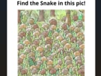 Can you spot the hidden snake in this tricky optical illusion shared on Facebook? Can you spot the hidden snake in this tricky optical illusion shared on Facebook?