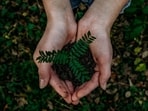 Earth Day serves as a reminder of our shared responsibility to protect the environment. Earth Day serves as a reminder of our shared responsibility to protect the environment.