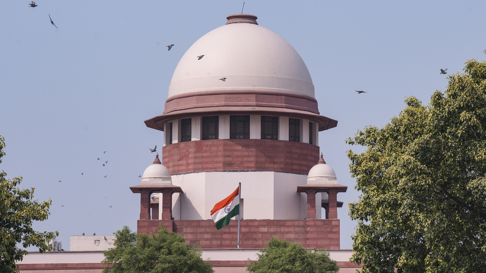 ‘We are alleged to be encroaching upon parliamentary, executive functions’: Supreme Court | Latest News India