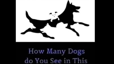 Can you spot all the dogs in this viral optical illusion? (Facebook/Minion Quotes) Can you spot all the dogs in this viral optical illusion? (Facebook/Minion Quotes)