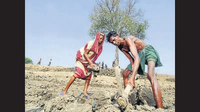 Support for the elderly cannot be through centralised vertical initiatives (MINT) Support for the elderly cannot be through centralised vertical initiatives (MINT)
