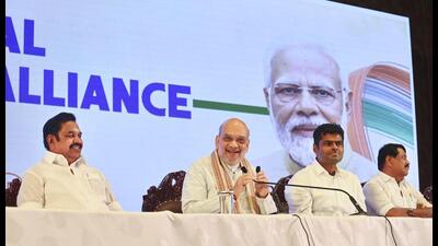 The AIADMK hopes the TVK will cut into DMK votes and help the NDA return to power. (PTI) The AIADMK hopes the TVK will cut into DMK votes and help the NDA return to power. (PTI)