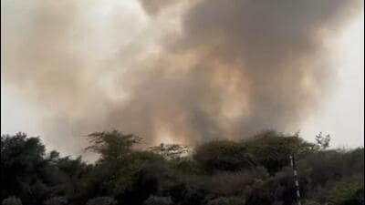 The site of the fire near the Bhandwari landfill. (HT Photo) The site of the fire near the Bhandwari landfill. (HT Photo)