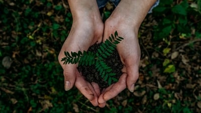 Earth Day serves as a reminder of our shared responsibility to protect the environment. (Representative Image- Unsplash ) Earth Day serves as a reminder of our shared responsibility to protect the environment. (Representative Image- Unsplash )