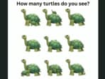 A tricky optical illusion showing turtles went viral on Facebook, challenging viewers to count them all. A tricky optical illusion showing turtles went viral on Facebook, challenging viewers to count them all.
