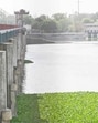 The Wazirabad barrage, which is the primary water storage area for the Yamuna in Delhi. (Sanjeev Verma/HT Photo) The Wazirabad barrage, which is the primary water storage area for the Yamuna in Delhi. (Sanjeev Verma/HT Photo)
