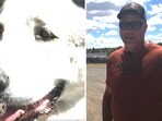 The Internet can't stop praising Buford, the dog who rescued a toddler in Arizona. 
