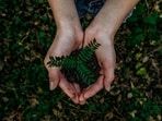 What are some of the best Earth Day 2025 events happening in the US? What are some of the best Earth Day 2025 events happening in the US?
