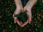  Earth Day 2025 