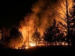The Ocean County wildfire in New Jersey has expanded to 1,200 acres. The Ocean County wildfire in New Jersey has expanded to 1,200 acres.