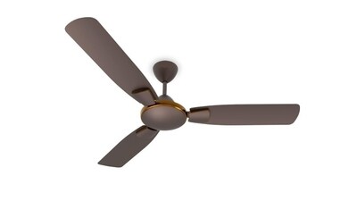 Choose the best 3 blades fan for relaxed summers Choose the best 3 blades fan for relaxed summers