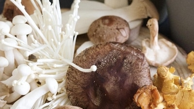 Harvest NYC Inc. has recalled 200g packages of ‘Enoki Mushroom' over listeria risk. (UnSplash) Harvest NYC Inc. has recalled 200g packages of ‘Enoki Mushroom' over listeria risk. (UnSplash)