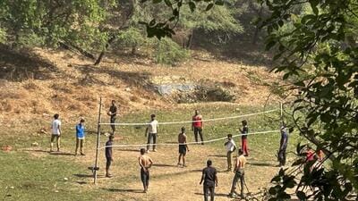 One volleyball net, birders pointed out, has been set up in the core nesting zone of the red-wattled lapwing, a ground-nesting bird highly sensitive to human activity. (Parveen Kumar/HT Photo) One volleyball net, birders pointed out, has been set up in the core nesting zone of the red-wattled lapwing, a ground-nesting bird highly sensitive to human activity. (Parveen Kumar/HT Photo)