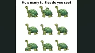 A tricky optical illusion showing turtles went viral on Facebook, challenging viewers to count them all. (Facebook/Dreame) A tricky optical illusion showing turtles went viral on Facebook, challenging viewers to count them all. (Facebook/Dreame)
