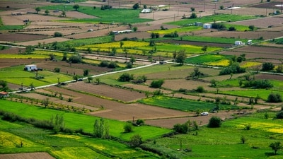 Buying land in Bengaluru has become more expensive over the years, but some areas in the northern part of the city still offer plots for under ₹1 crore, say real estate experts.(Representational Image) (Unsplash) Buying land in Bengaluru has become more expensive over the years, but some areas in the northern part of the city still offer plots for under ₹1 crore, say real estate experts.(Representational Image) (Unsplash)