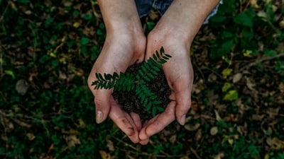 What are some of the best Earth Day 2025 events happening in the US? What are some of the best Earth Day 2025 events happening in the US?