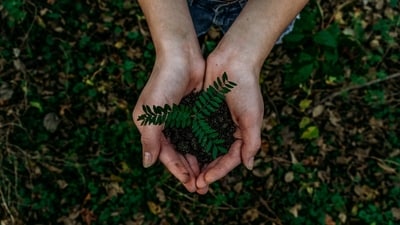 As the world observes Earth Day, environmental experts call for stricter enforcement of sustainability standards in India’s real estate sector. They cite growing concerns over unchecked urban sprawl and its impact on natural ecosystems. (Representational Image) (File Photo ) As the world observes Earth Day, environmental experts call for stricter enforcement of sustainability standards in India’s real estate sector. They cite growing concerns over unchecked urban sprawl and its impact on natural ecosystems. (Representational Image) (File Photo )