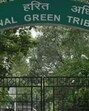 The National Green Tribunal. (File Photo) The National Green Tribunal. (File Photo)
