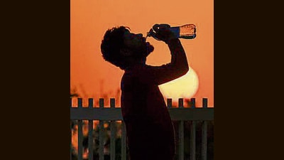 To tackle plastic pollution and promote sustainable practices, the Himachal government makes car dustbins mandatory from April 29 and bans small pet bottles from June 1. (HT File) To tackle plastic pollution and promote sustainable practices, the Himachal government makes car dustbins mandatory from April 29 and bans small pet bottles from June 1. (HT File)