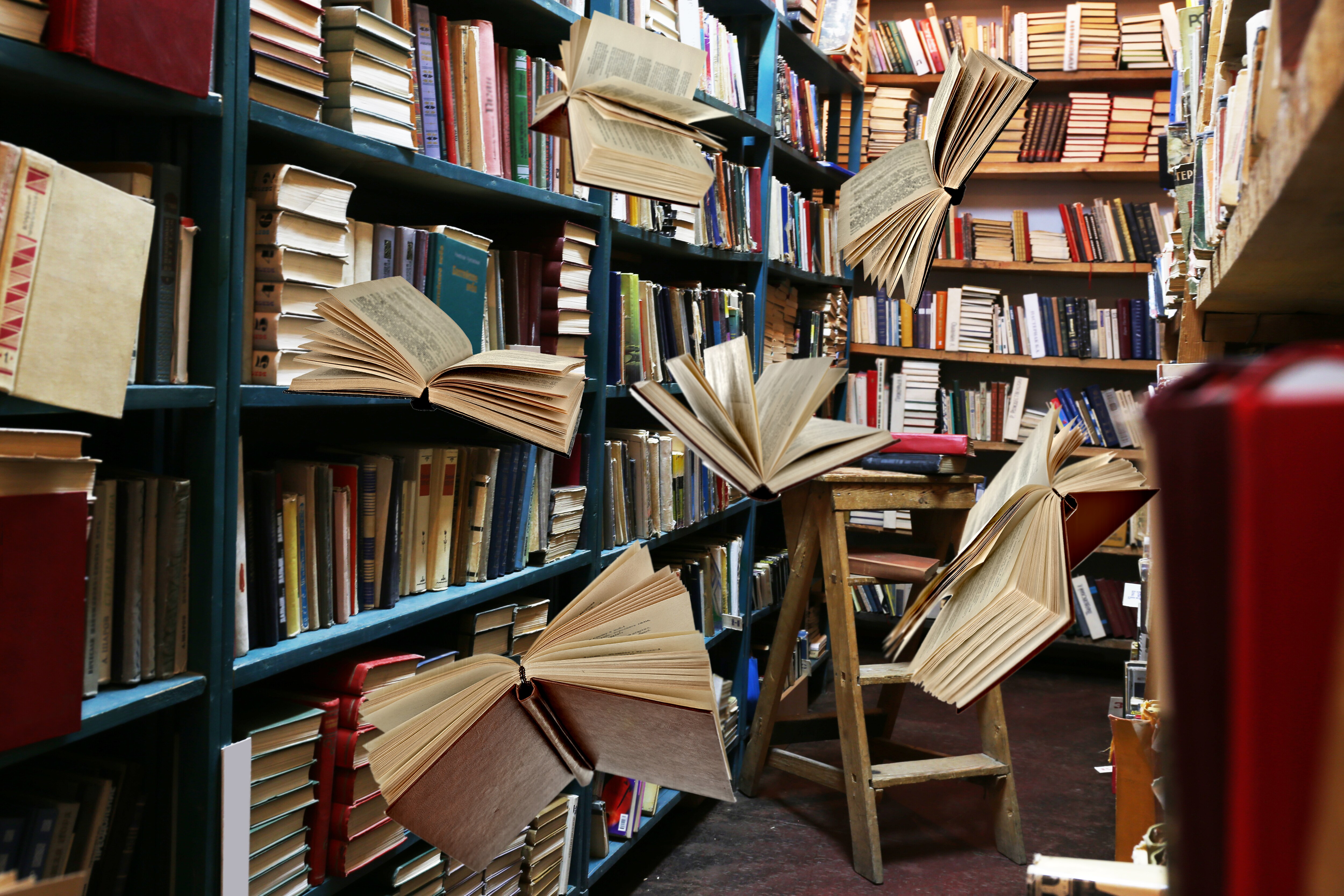 The library as a magical space (Shutterstock) The library as a magical space (Shutterstock)