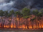 Smoke fills the sky from a wildfire in Lacey Townships, N.J. on Tuesday, April 22, 2025. Smoke fills the sky from a wildfire in Lacey Townships, N.J. on Tuesday, April 22, 2025.