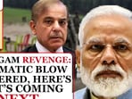 Pahalgam attack: India punishes Pak with diplomatic blitz, real knockout soon…