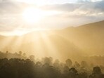 How will UK dim sunlight to fight global warming? Everything we know about the project (Unsplash - representational image) How will UK dim sunlight to fight global warming? Everything we know about the project (Unsplash - representational image)