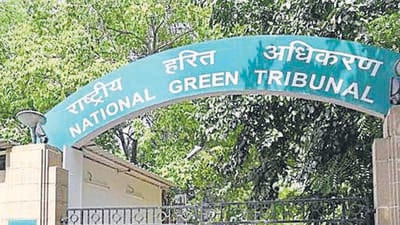 In February, MCD informed the NGT of the closure of dhalaos H, D and P/Q in Jangpura Extension. (HT Archive)